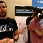 Fare luce sulle verità dei Macelli: Intervista ad “Animal Equality”
