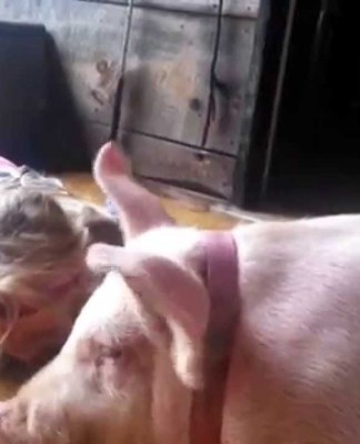 Godiamoci una sana porzione di Sorrisi Spensierati